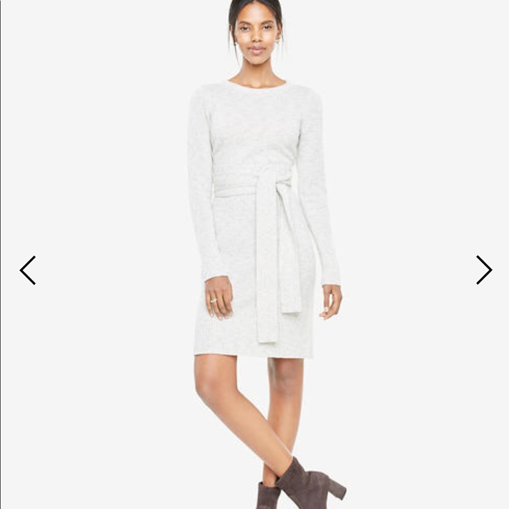 Ann Taylor sweater dress
